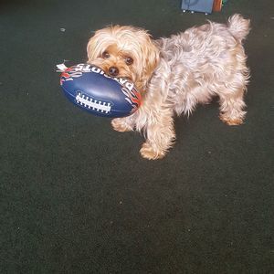 Meet your Posher, Tanya